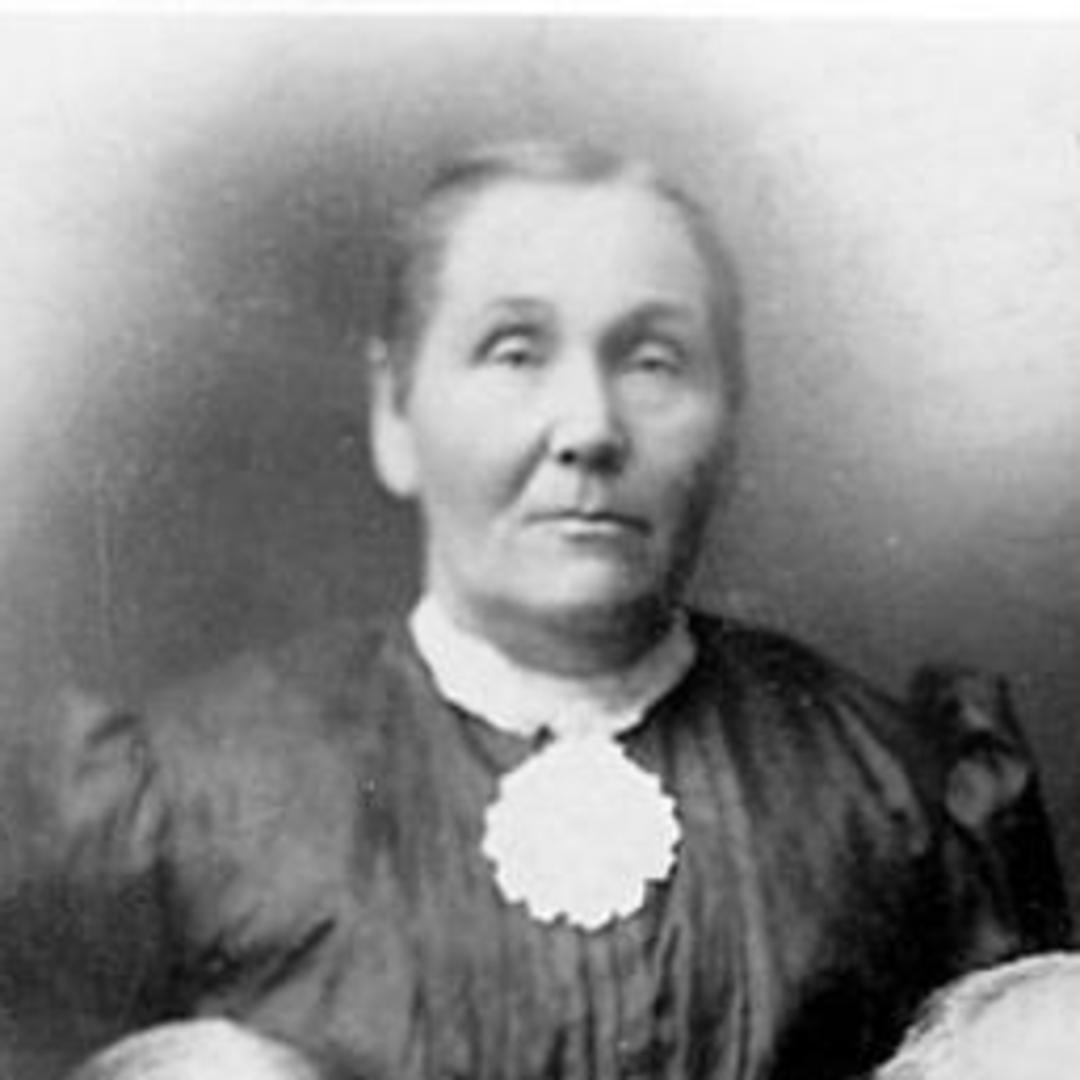 Mary McBride Burt (1855 - 1931) Profile